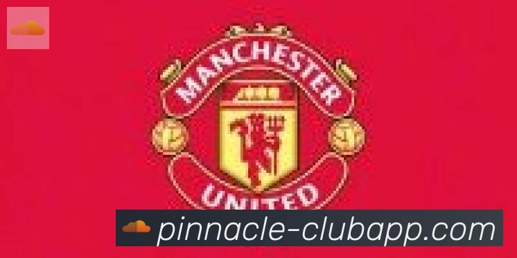 平博pinnacle体育合作伙伴